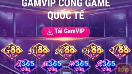 gamvip-1