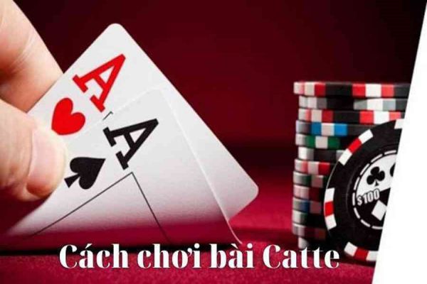 catte-tai-nhat-vip-club-3