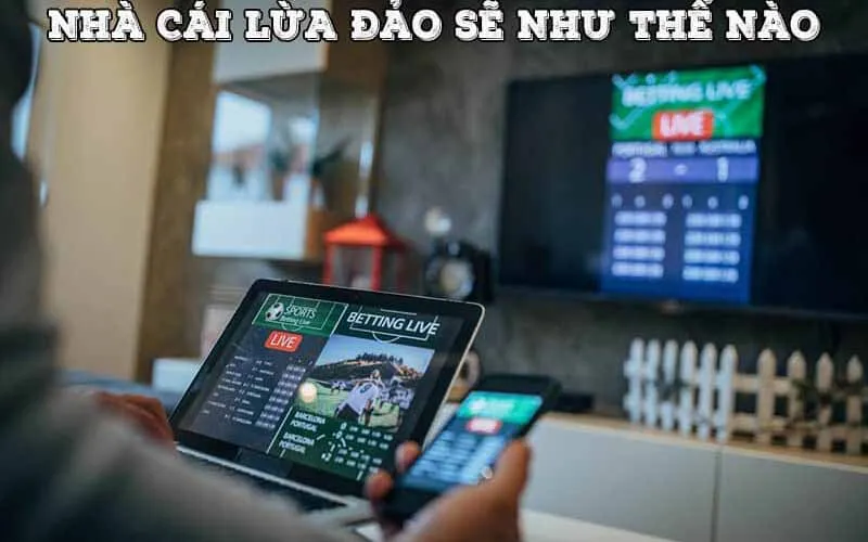 Vn88 lua dao nhu the nao